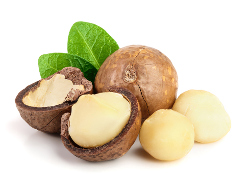 Macademia